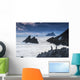 Cormorants on the rocks;Iveragh peninsula, county kerry, ireland Wall Mural