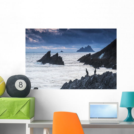Cormorants on the rocks;Iveragh peninsula, county kerry, ireland Wall Mural