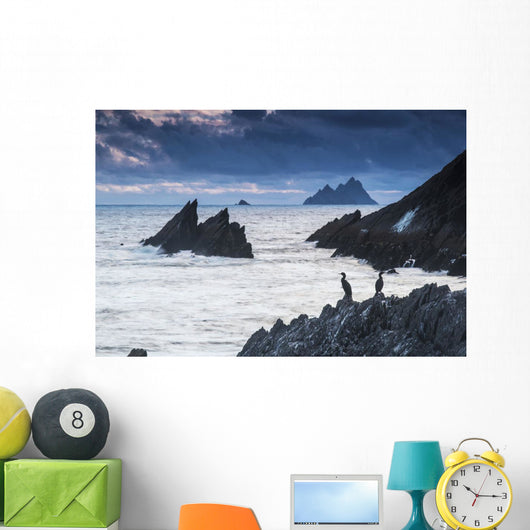 Cormorants on the rocks;Iveragh peninsula, county kerry, ireland Wall Mural