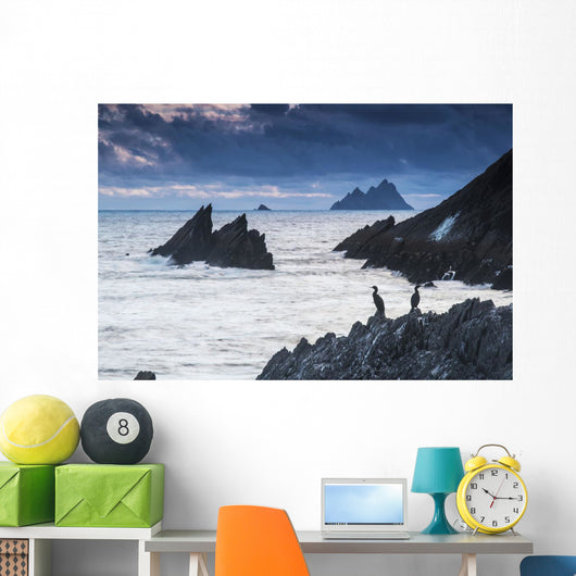 Cormorants on the rocks;Iveragh peninsula, county kerry, ireland Wall Mural