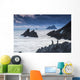 Cormorants on the rocks;Iveragh peninsula, county kerry, ireland Wall Mural
