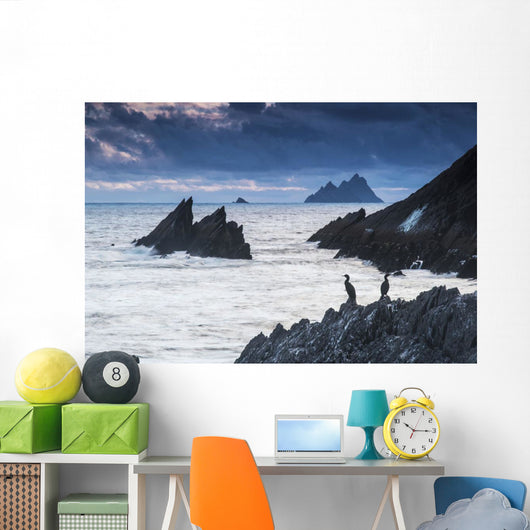 Cormorants on the rocks;Iveragh peninsula, county kerry, ireland Wall Mural
