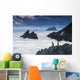 Cormorants on the rocks;Iveragh peninsula, county kerry, ireland Wall Mural