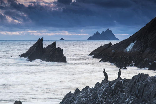 Cormorants on the rocks;Iveragh peninsula, county kerry, ireland Wall Mural