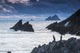 Cormorants on the rocks;Iveragh peninsula, county kerry, ireland Wall Mural