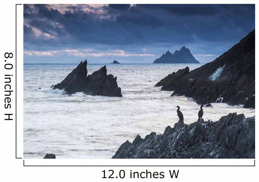 Cormorants on the rocks;Iveragh peninsula, county kerry, ireland Wall Mural