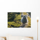 Sheep walking on path Wall Mural