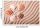 Shells Sand