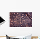 Petroglyphs Wall Mural