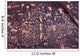 Petroglyphs Wall Mural