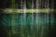 Trees reflected in the blue-green water of a small spring fed pond Wall Mural
