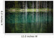 Trees reflected in the blue-green water of a small spring fed pond Wall Mural