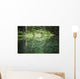 Spruce trees reflected in the glassy surface of a small pond Wall Mural
