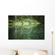 Spruce trees reflected in the glassy surface of a small pond Wall Mural