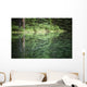 Spruce trees reflected in the glassy surface of a small pond Wall Mural