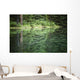 Spruce trees reflected in the glassy surface of a small pond Wall Mural