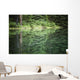 Spruce trees reflected in the glassy surface of a small pond Wall Mural