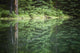Spruce trees reflected in the glassy surface of a small pond Wall Mural