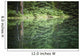 Spruce trees reflected in the glassy surface of a small pond Wall Mural