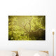 An elk with large antlers grazing in warm evening light Wall Mural