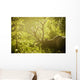 An elk with large antlers grazing in warm evening light Wall Mural