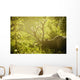 An elk with large antlers grazing in warm evening light Wall Mural