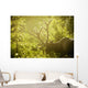 An elk with large antlers grazing in warm evening light Wall Mural