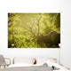 An elk with large antlers grazing in warm evening light Wall Mural