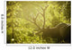 An elk with large antlers grazing in warm evening light Wall Mural