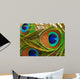 Bright feathers of a peacock close up Wall Mural