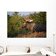 Bull Moose Standing In Afternoon Light Wall Mural