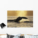 Two Humpback Whales Backlit In Izhut Bay, Southwest Alaska, Summer Wall Mural