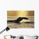 Two Humpback Whales Backlit In Izhut Bay, Southwest Alaska, Summer Wall Mural