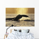 Two Humpback Whales Backlit In Izhut Bay, Southwest Alaska, Summer Wall Mural