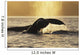 Two Humpback Whales Backlit In Izhut Bay, Southwest Alaska, Summer Wall Mural