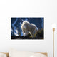 Mountain Goat Looking Left In Winter Coat Wall Mural