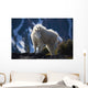 Mountain Goat Looking Left In Winter Coat Wall Mural