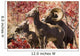 Family Of Bighorn Sheep In Swakane Area Wall Mural