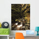 A stream runs through a slot canyon Wall Mural