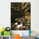 A stream runs through a slot canyon Wall Mural