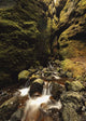 A stream runs through a slot canyon Wall Mural