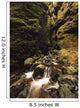 A stream runs through a slot canyon Wall Mural