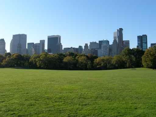 New York Wall Decal Design 3