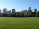 New York Wall Decal Design 3
