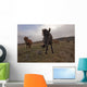 Icelandic horses Wall Mural