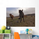 Icelandic horses Wall Mural