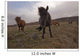 Icelandic horses Wall Mural