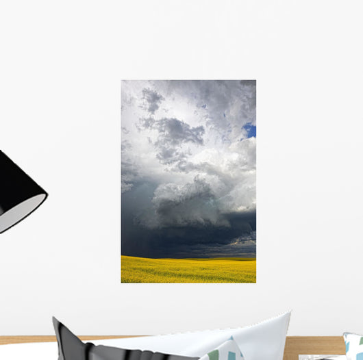 Storm clouds gather over a sunlit canola field in southern Alberta Wall Mural