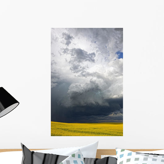 Storm clouds gather over a sunlit canola field in southern Alberta Wall Mural