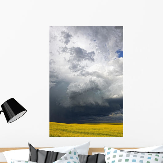 Storm clouds gather over a sunlit canola field in southern Alberta Wall Mural
